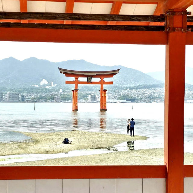 Mystical Serenity: exploring the floating Torii Gate! 🏯✨🌊