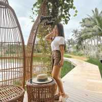 ยุ้งฉางคาเฟ่ คาเฟ่ทุ่งดอกปอเทืองกลางเมืองจันทบุรี