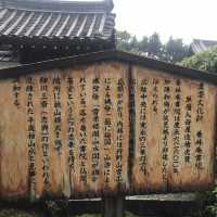 一趟心靈洗滌之旅-宇治平等院⛩️