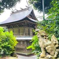 【城山稲荷神社/島根県】数えきれないほどの狐像