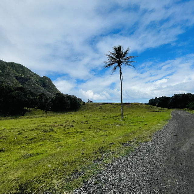 【Hawaii】ハワイに行ったら絶対行くべき観光地！