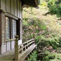 The Taiyoji Temple