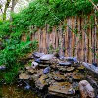 Khaam Khaoyai คาเฟ่ที่คนรักชาเขียวห้ามพลาด