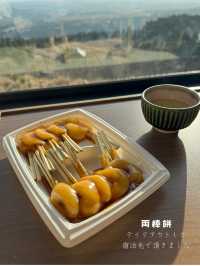 【鹿児島】桜島を眺めるならココしかない！