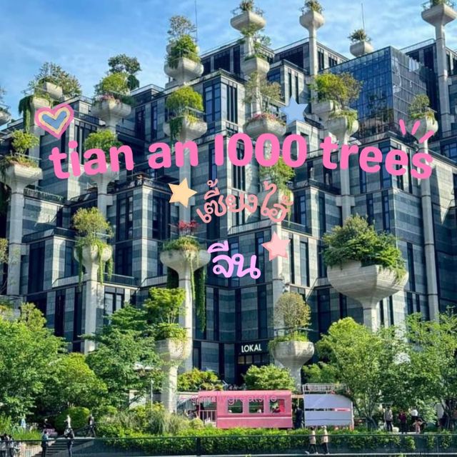tian an 1000 trees