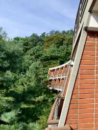 숲에 둘러쌓인 산장 감성을 🌳 서울 도심 한복판에서 즐길 수 있는 🏕️캠핑감성 여행