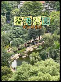 🌳春日探索香港公園的綠意之美🌸