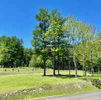 Kanayamako RV Park: Nature's Retreat