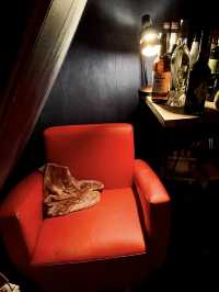 【山口カフェ】雰囲気抜群の隠れ家夜喫茶🍸