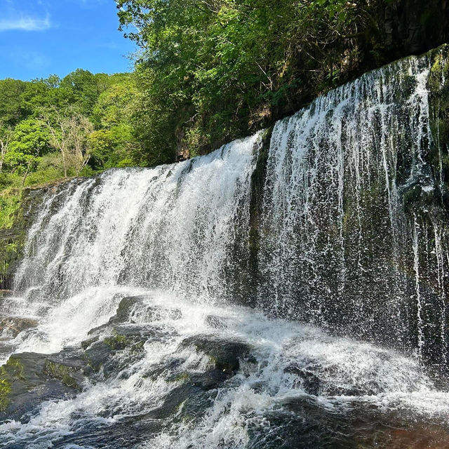 櫻草山：壯麗山景
