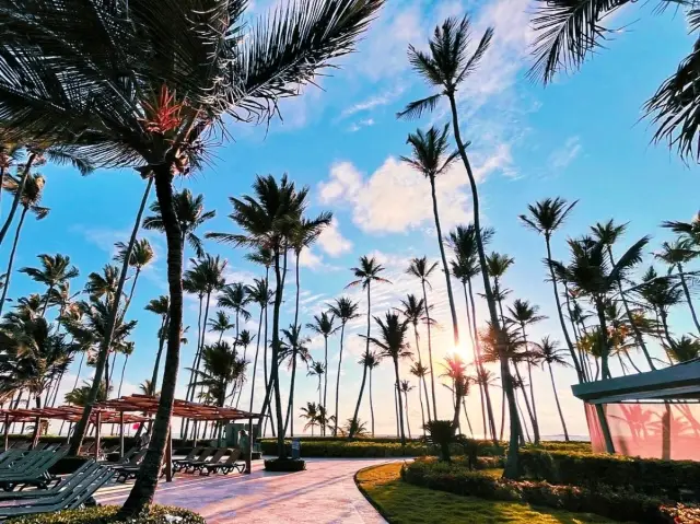 🏖️ Beach Stay at Barcelo Bavaro Resort