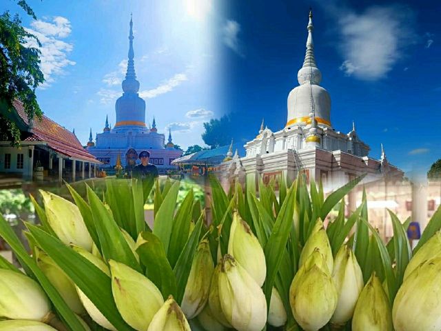 พระธาตุนาดูน  พุทธมณฑลแห่งอีสาน