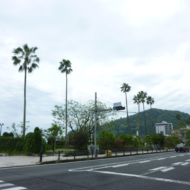 ♨️✨【熱海1泊2日旅行】