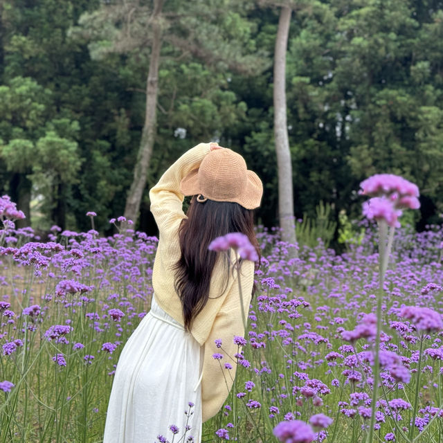 비케이브에 방문하신다면 인생샷 무조건 보장이에용 💜 
