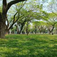 My Catholic family visits Tra Kieu