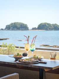 【和歌山】和歌山旅行で食べたいおすすめグルメ＆スイーツ6選🐼🍽️ 