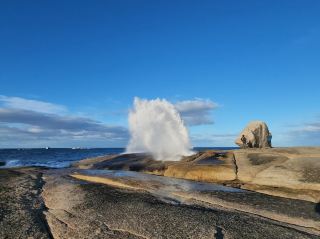Bicheno Blowhole