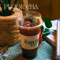 🪴Plook Cha 