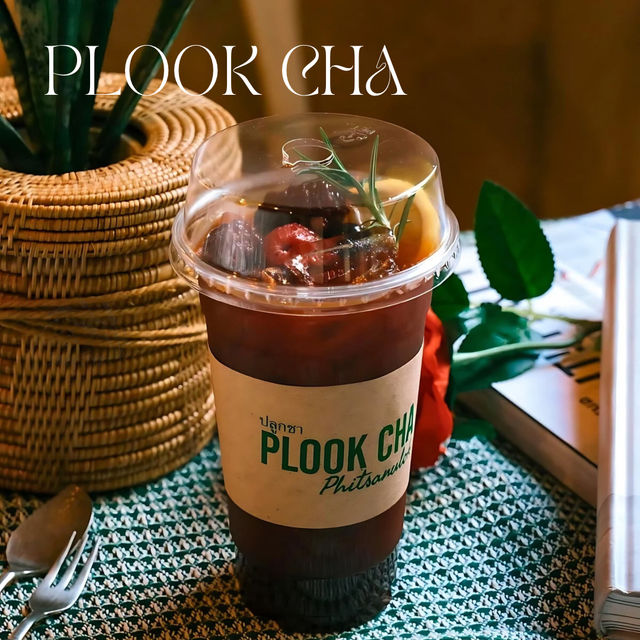 🪴Plook Cha 