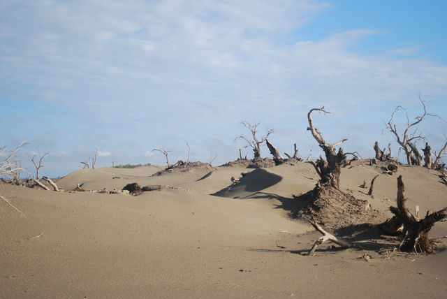 Taklamakan Desert
