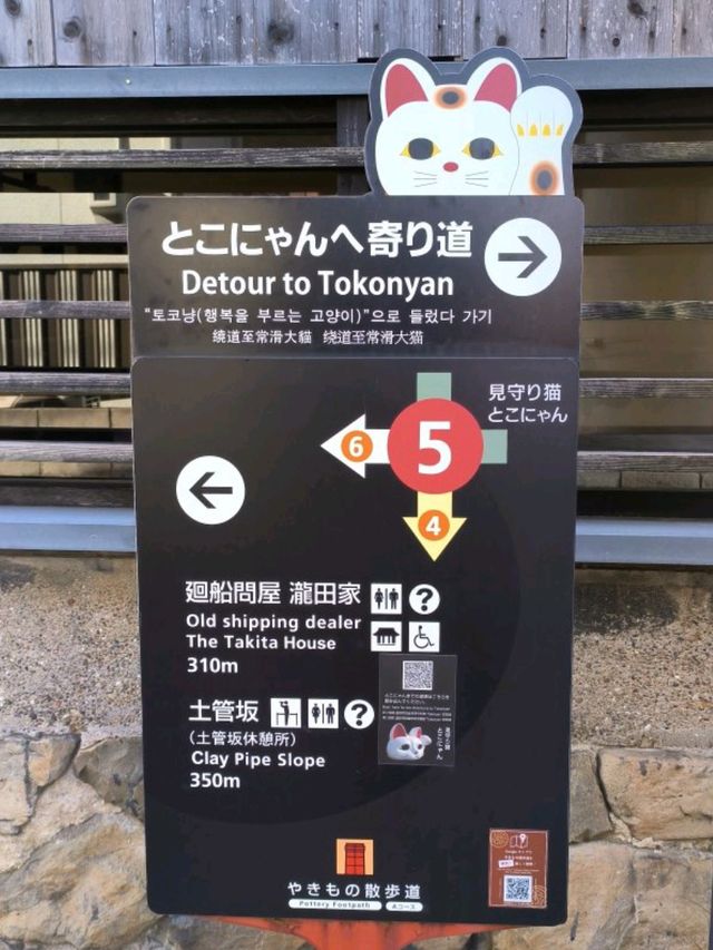 為了看這隻巨貓~頭也吹甩