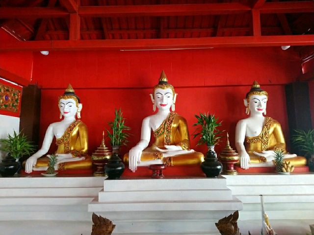 วัดเมืองมูลบุญเรืองคีรี (วัดครูบาต๋อง)