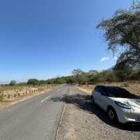 National Park Baluran (Liitle Africa)