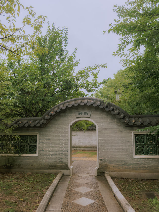 여기가 정말 한국이라고?