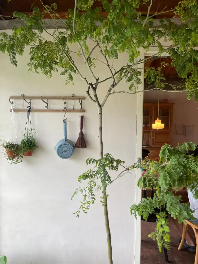 Jeju Island Pyo-seon Cafe Melville (melville)