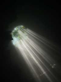 Jomblang cave