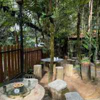 Kopi Hutan คาเฟ่ในป่าที่สูงที่สุดในปีนัง