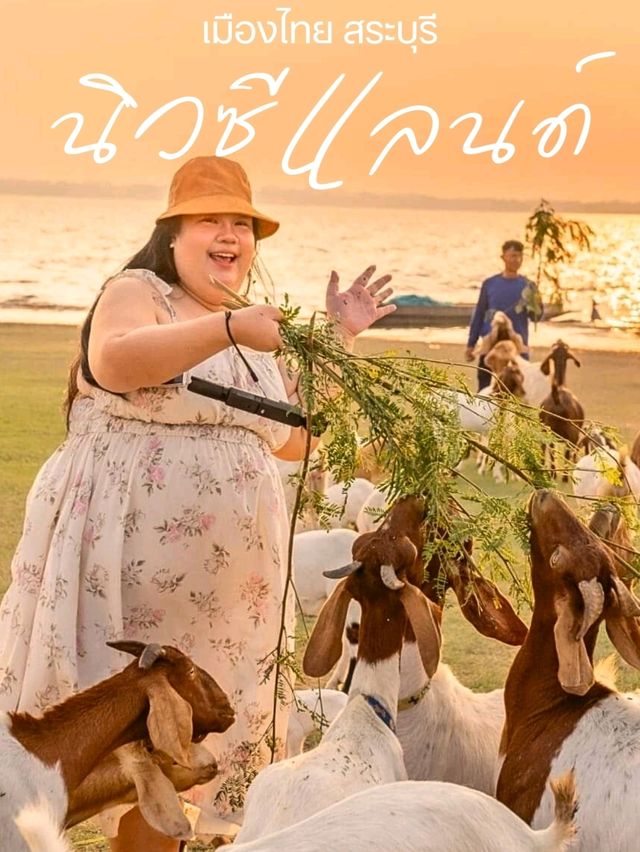 นิวซีแลนด์ เมืองไทย 