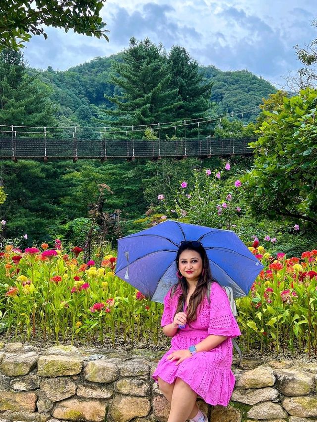 The Magical Garden of Morning Calm 🌸✨🇰🇷