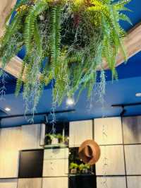 【JOSH’S GRILL】Authentic Western Cuisine in Town