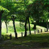 福岡三寶院：歷史古蹟，禪意氛圍，感受大自然恬靜與祥和