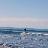 SUMNER BEACH CANTERBURY