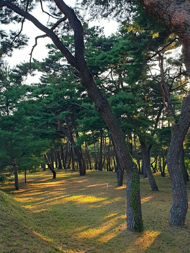 낙동강처럼 흘러간 세월의 고장, 안동 하회마을