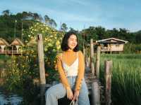 ร้านฮิมโต้ง สะเกิ้น