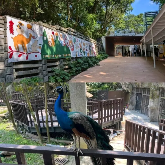 壽山動物園:親子遊玩首選,整修後更舒適
