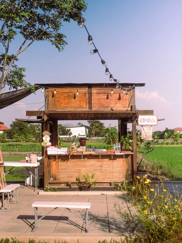 ดอกไม้ประตูแจกันวิลเลจ คาเฟ่สุดชิลย่านบางใหญ่🏠🌳