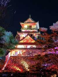 〜高知県〜絶景！高知城ライトアップ