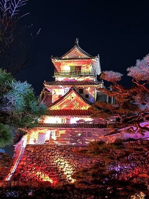 〜高知県〜絶景！高知城ライトアップ