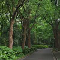 「娜麗公園：綠意盎然、錦鯉池美麗景緻，享受天然氧吧」