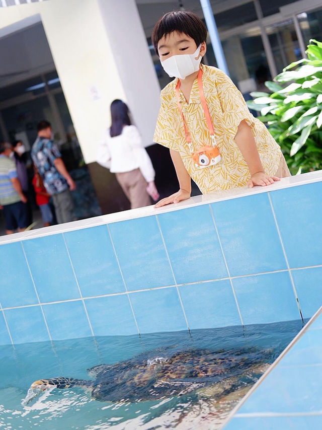 พิพิธภัณฑ์สัตว์น้ําหว้ากอ จ.ประจวบคีรีขันธ์ 🐳💕