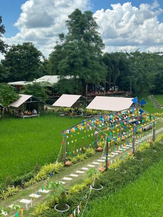 Metta Cafe: A Restaurant in the Fields of Tao Ngoi, Sakon Nakhon