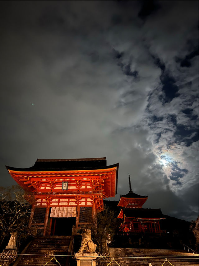 Stunning Views of Kyoto from Kiyomizu-dera ⛩️ 