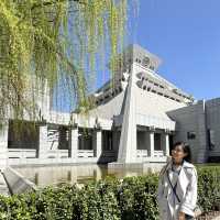 I Took 3 Flights to reach Zhengzhou Just to Experience the Splendor of the Henan Museum!