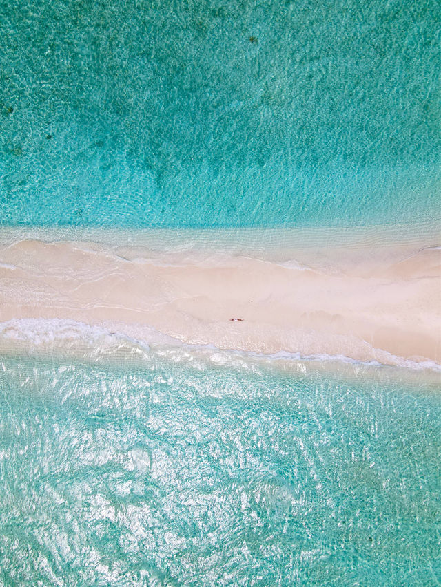 A secluded sandbank in the Maldives 😍🩵