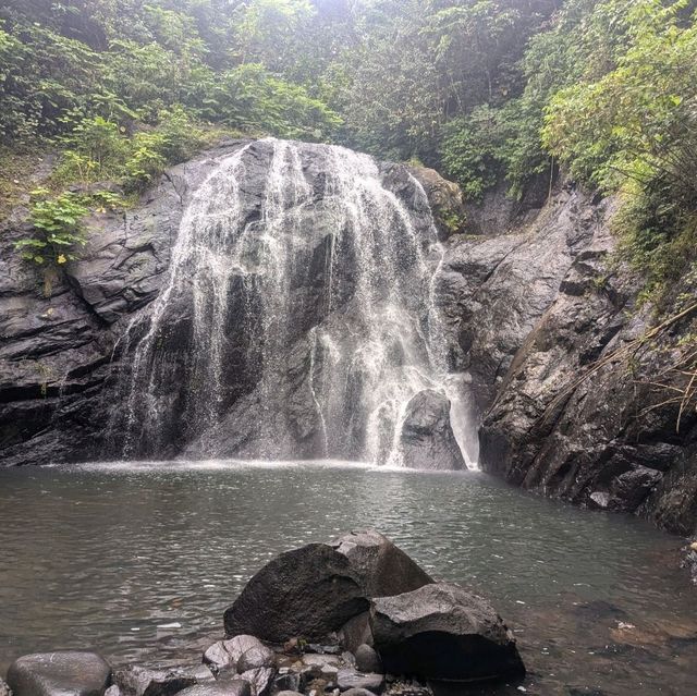Exploring the Underwater Paradise of Savusavu, Fiji
