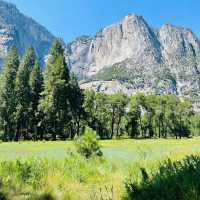 Nature’s Majestic Canvas Unfolds at Yosemite – Where Every Trail Leads to Wonder!